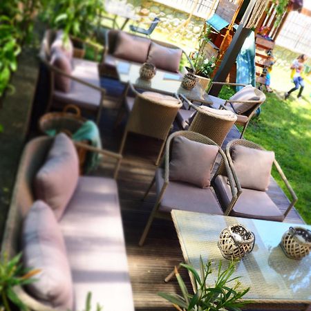 Willow&Pillow Apartments 시비우 외부 사진
